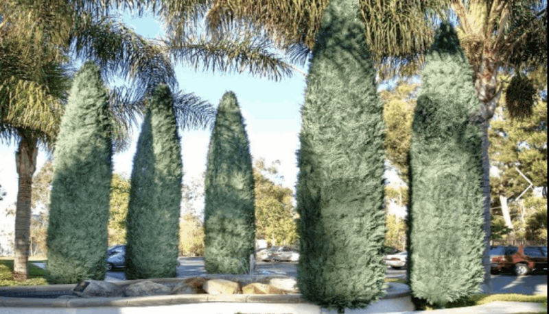Large 28 foot outdoor trees that look real, but are artificial